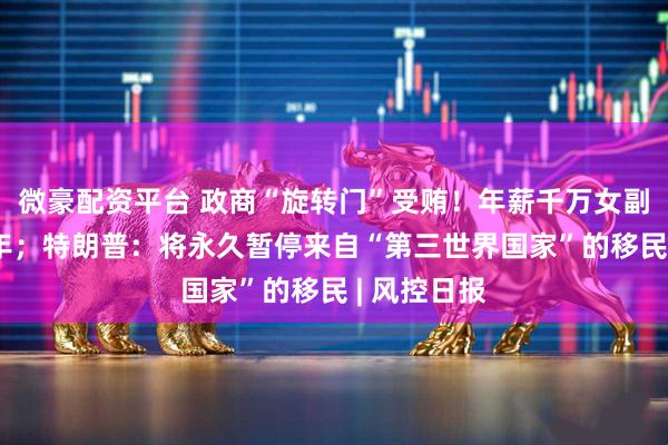 微豪配资平台 政商“旋转门”受贿！年薪千万女副总被判14年；特朗普：将永久暂停来自“第三世界国家”的移民 | 风控日报