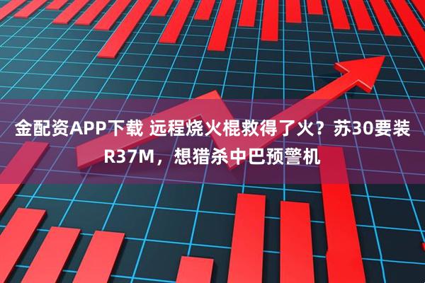 金配资APP下载 远程烧火棍救得了火？苏30要装R37M，想猎杀中巴预警机